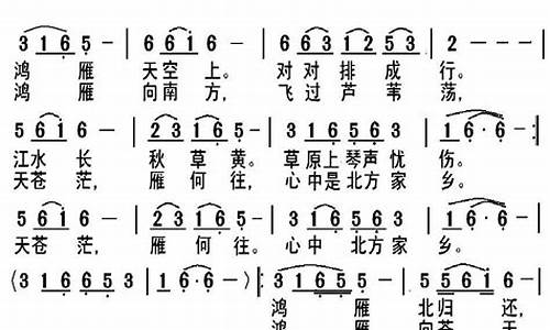 鸿雁歌词_鸿雁歌词完整版