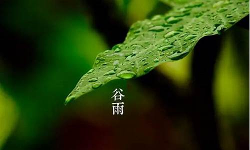 描写谷雨的诗句_谷雨的诗句